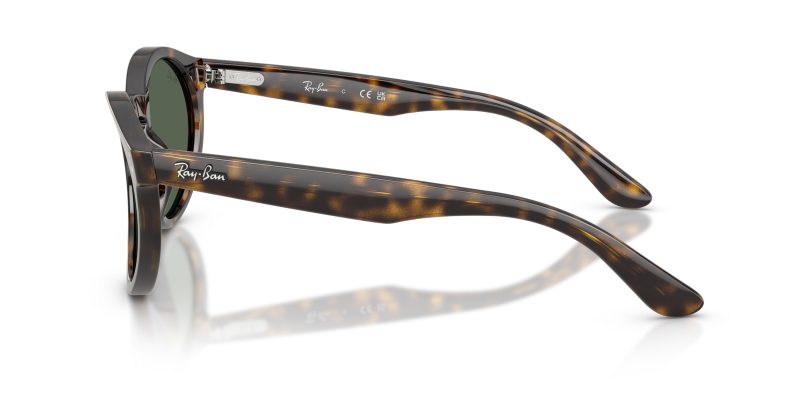 Rayban RBR0505S-6790VR - Side View