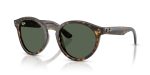 Rayban RBR0505S-6790VR - Quarter View