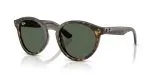Rayban RBR0505S-6790VR - Quarter View Rayban RBR0505S-6790VR - Quarter View