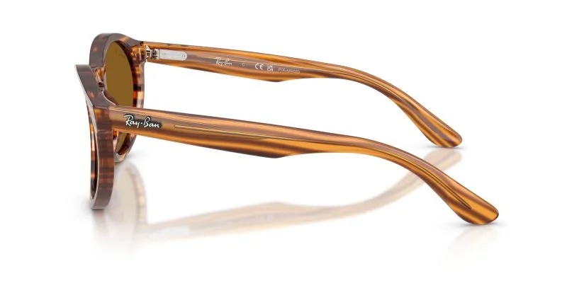 Rayban RBR0505S-679183 - Side View