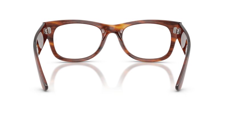 Rayban MEGA WAYFARER II RX0832VF-2144 - Back View