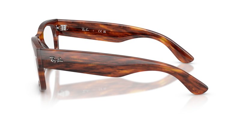 Rayban MEGA WAYFARER II RX0832VF-2144 - Side View