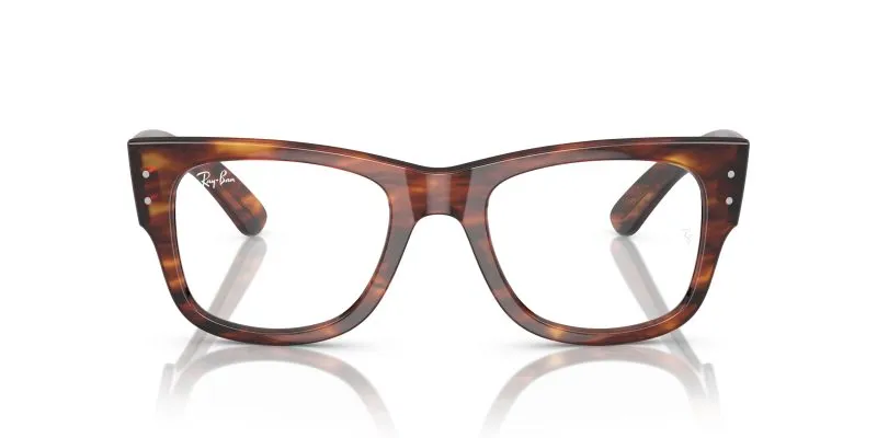 Rayban MEGA WAYFARER RX0840V-2144