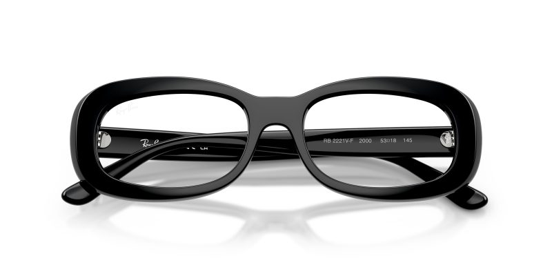 Rayban RX2221VF-2000 - Folded View