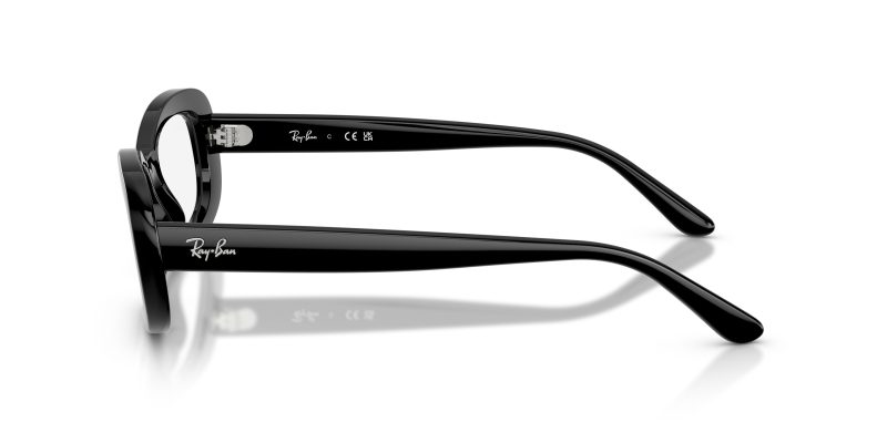 Rayban RX2221VF-2000 - Side View
