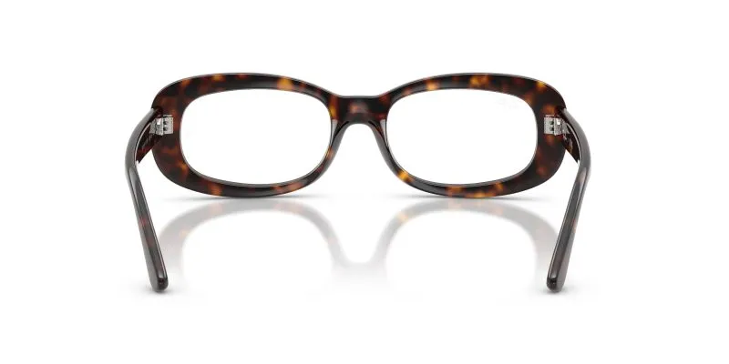 Rayban RX2221VF-2012 - Back View