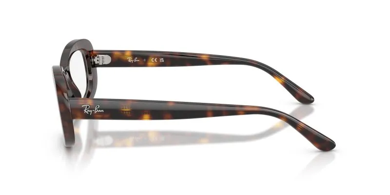 Rayban RX2221VF-2012 - Side View