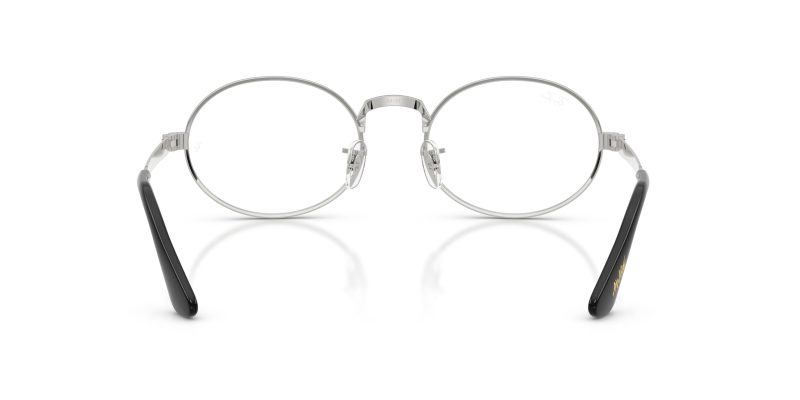 Rayban RX3931V-2501 - Back View