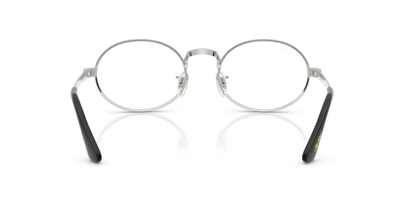 Rayban RX3931V-2501 - Back View