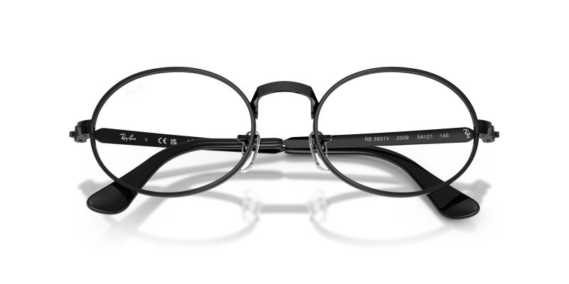 Rayban RX3931V-2509 - Folded View