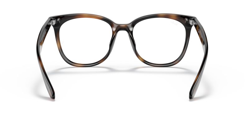 Rayban RX4379VD-2012 - Back View