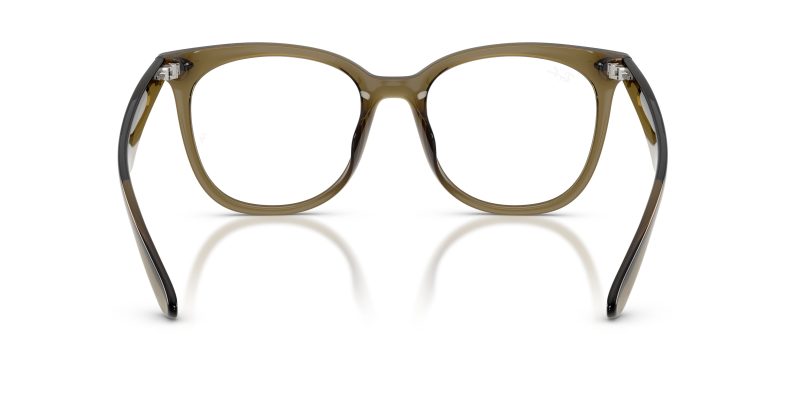 Rayban RX4379VD-8445 - Back View