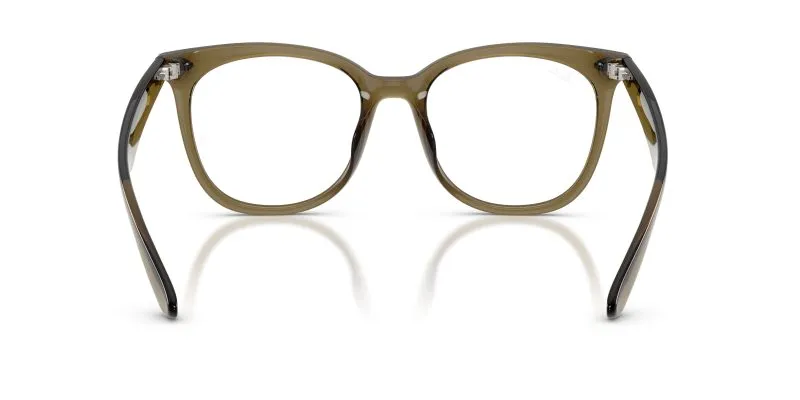 Rayban RX4379VD-8445 - Back View