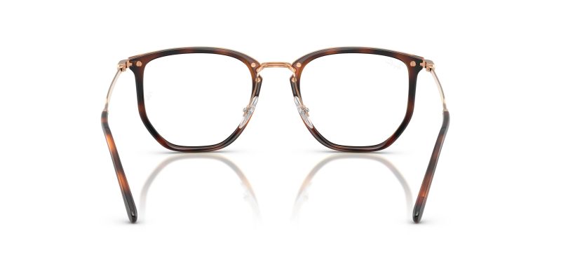 Rayban RX4451V-5687 - Back View