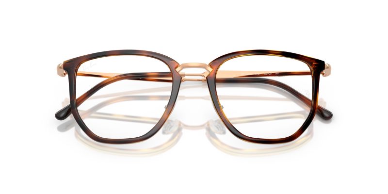 Rayban RX4451V-5687 - Folded View