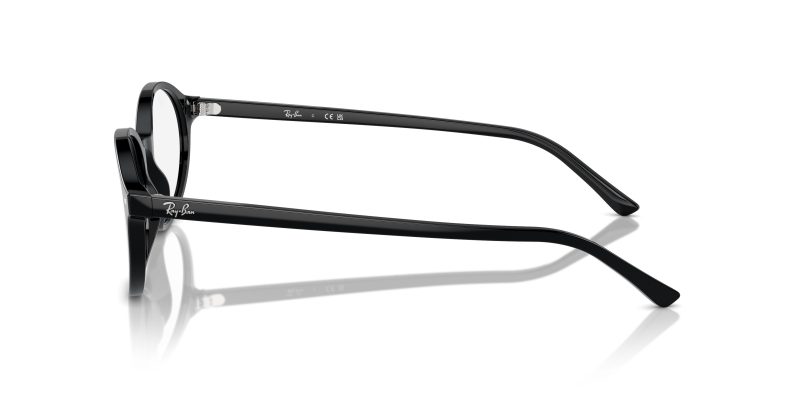 Rayban GERMAN RX5429-2000 - Side View