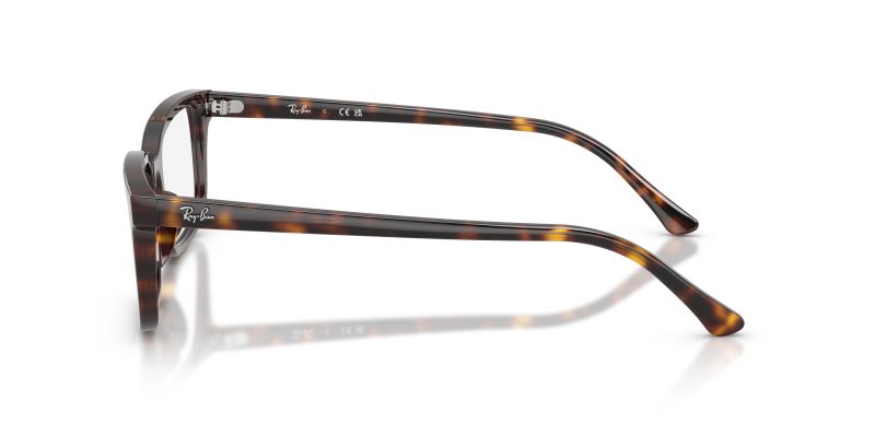 Rayban RX5445F-2012 - Side View