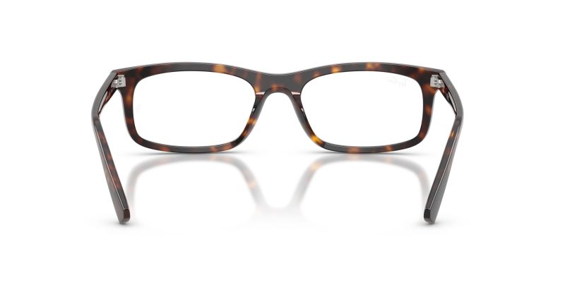 Rayban RX5450F-2012 - Back View