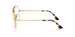 Rayban AVIATOR RX6489-2500 - Side View