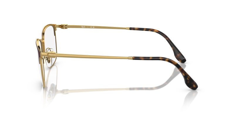 Rayban RX6494-2945 - Side View