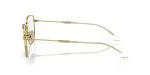 Rayban RX6496-2500 - Side View