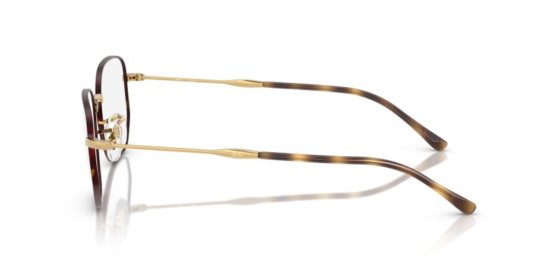 Rayban RX6496-3177 - Side View