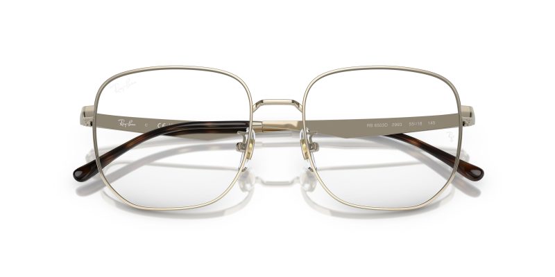 Rayban RX6503D-2993 - Folded View