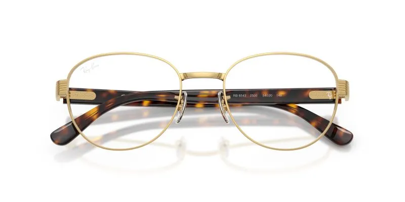 Rayban RX6543-2500 - Folded View