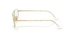 Rayban RX6550-2500 - Side View