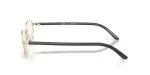 Rayban RX6551D-2993 - Side View Rayban RX6551D-2993 - Side View