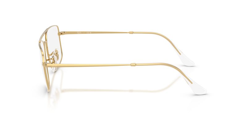 Rayban RX6579 RX6579-2500 - Side View