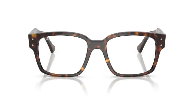 Rayban LAURENE RX7256F-8320