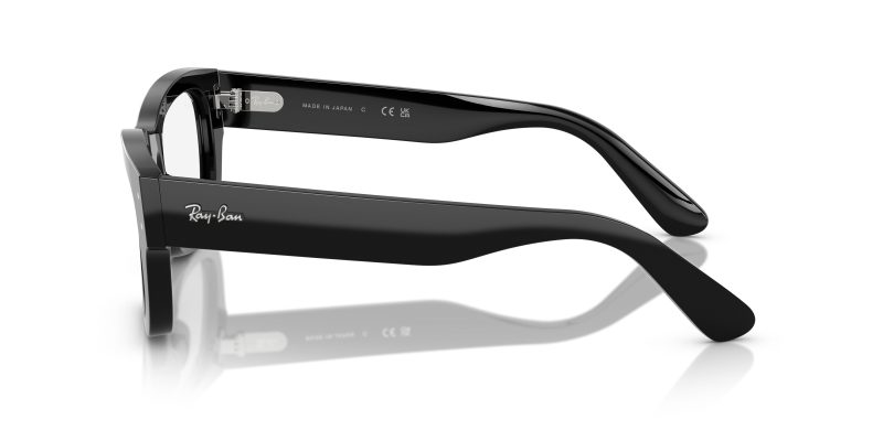 Rayban JOSEPH RX7683V-2000 - Side View