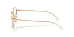 Rayban RX8777D-1248 - Side View Rayban RX8777D-1248 - Side View