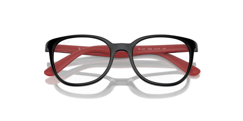 Rayban RY1631-3928 - Folded View