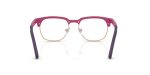Rayban RY1641-3933 - Back View