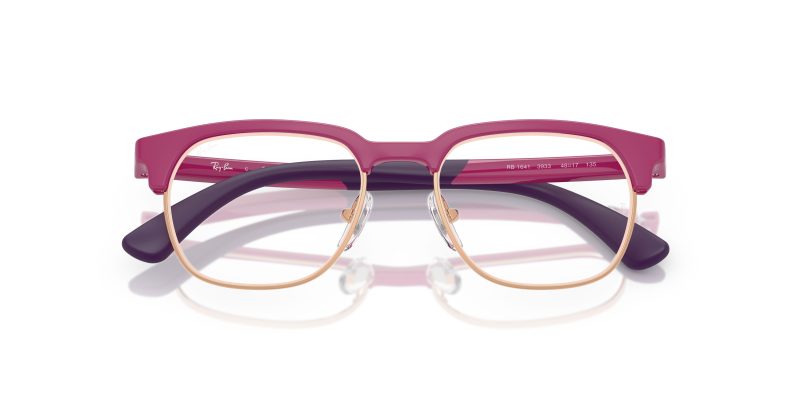 Rayban RY1641-3933 - Folded View