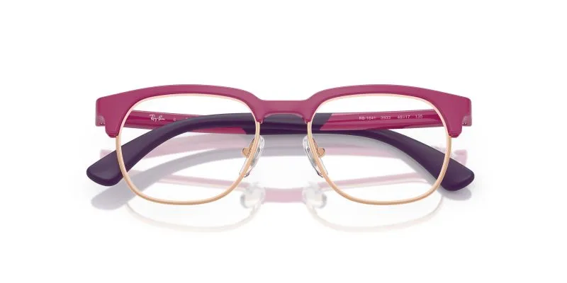 Rayban RY1641-3933 - Folded View