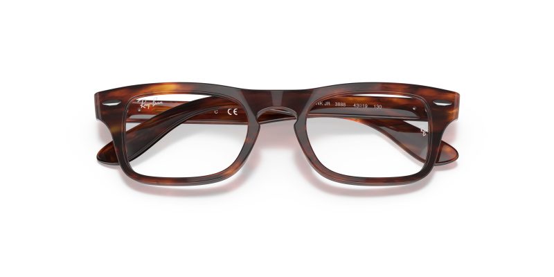 Rayban JUNIOR BURBANK RY9083V-3888 - Folded View