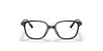 Rayban JUNIOR LEONARD RY9093V-3542