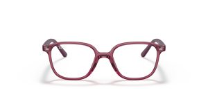 Rayban JUNIOR LEONARD RY9093V-3898