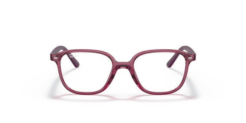 Rayban JUNIOR LEONARD RY9093V-3898 Rayban JUNIOR LEONARD RY9093V-3898