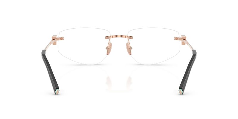 Tiffany & Co TF1175-6105 - Back View