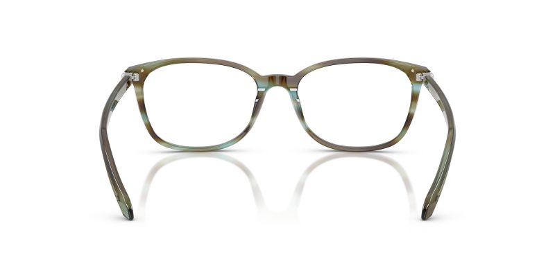 Tiffany & Co TF2109HB-8124 - Back View