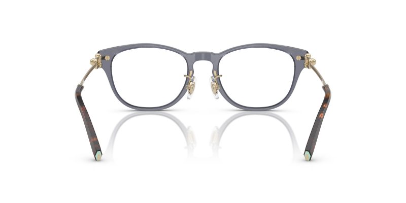 Tiffany & Co TF2237D-8405 - Back View