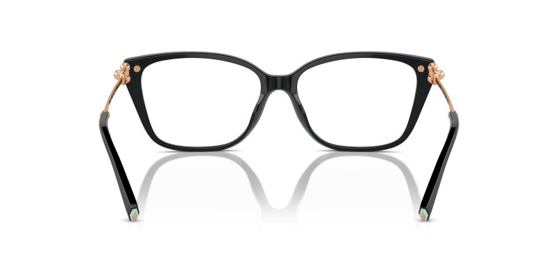 Tiffany & Co TF2248KF-8403 - Back View