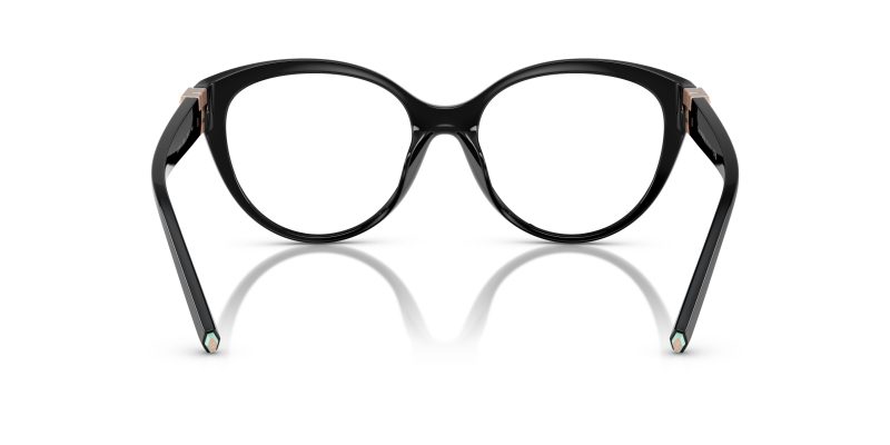 Tiffany & Co TF2255U-8001 - Back View