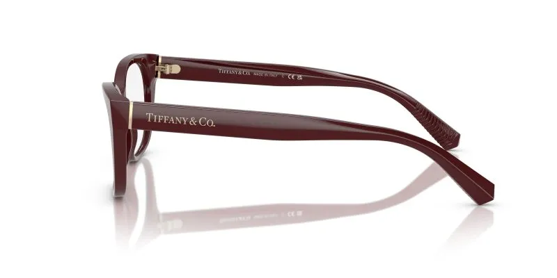Tiffany & Co TF2261F-8389 - Side View