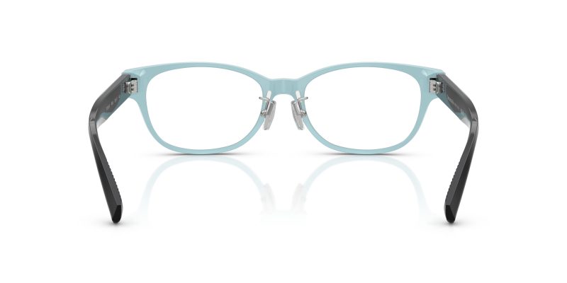 Tiffany & Co TF2263D-8055 - Back View