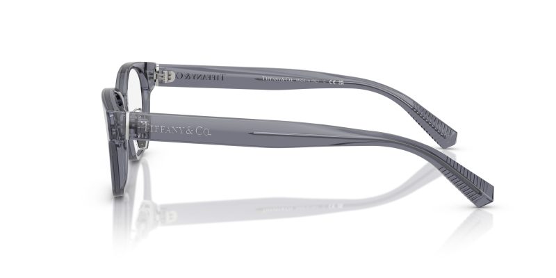 Tiffany & Co TF2263D-8405 - Side View